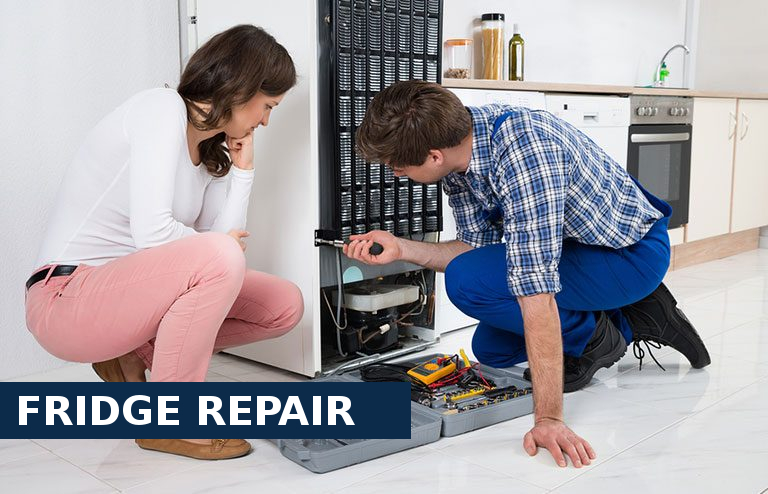 Fridge Repair Hampton